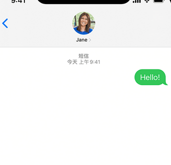 吊罗山乡apple维修iPhone上无法正常发送iMessage信息 吊罗山乡apple维修iPhone上无法正常发送iMessage信息