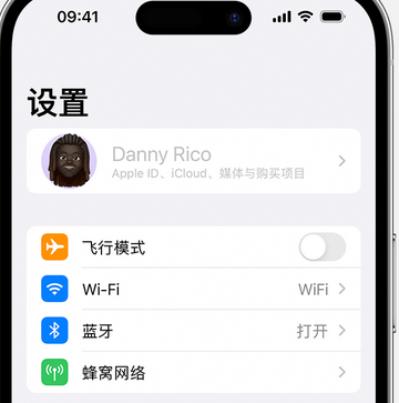 吊罗山乡appleID维修服务iPhone设置中Apple ID显示为灰色无法使用