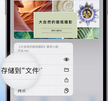 吊罗山乡apple维修中心分享iPhone文件应用中存储和找到下载文件