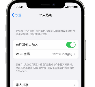 吊罗山乡apple服务站点分享iPhone上个人热点丢失了怎么办 