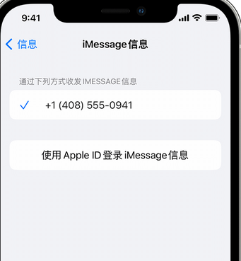 吊罗山乡apple维修iPhone上无法正常发送iMessage信息 