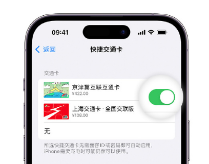 吊罗山乡apple维修点分享iPhone上更换Apple Pay快捷交通卡手绘卡面 