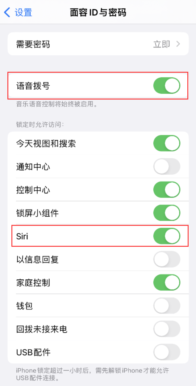 吊罗山乡苹果维修网点分享不解锁 iPhone 的情况下通过 Siri 拨打电话的方法 