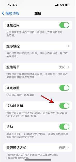 吊罗山乡苹果手机维修分享iPhone手机如何设置摇一摇删除文字 